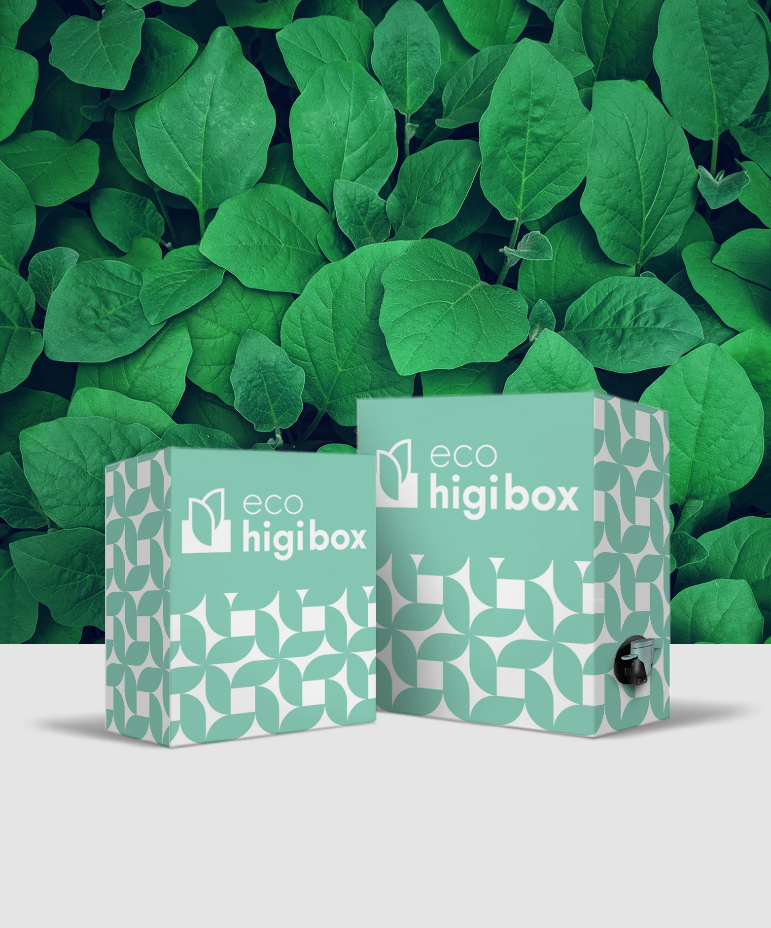 Detergentes Ecológicos o Futuro da Higiene